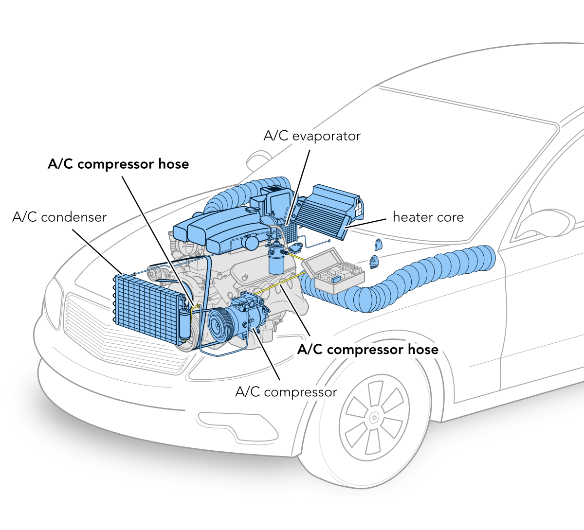 A/C Compressor Hose Diagram/